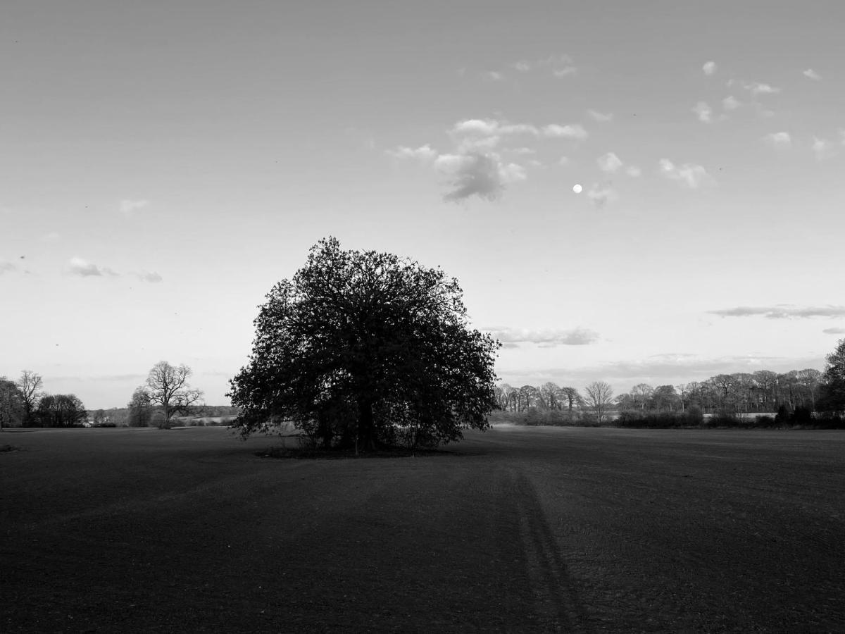 Wildes Inns Chesterfield Buitenkant foto