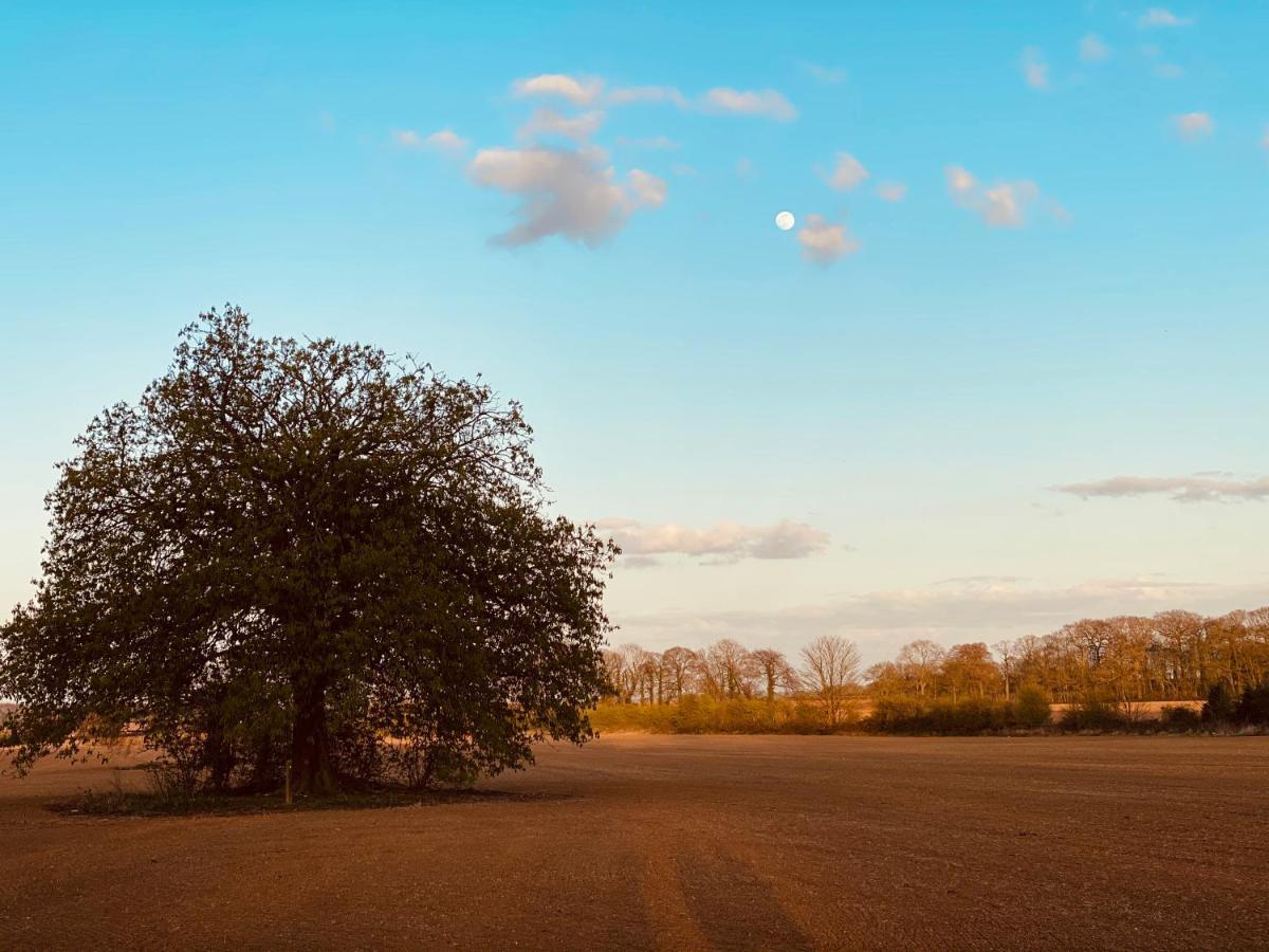 Wildes Inns Chesterfield Buitenkant foto