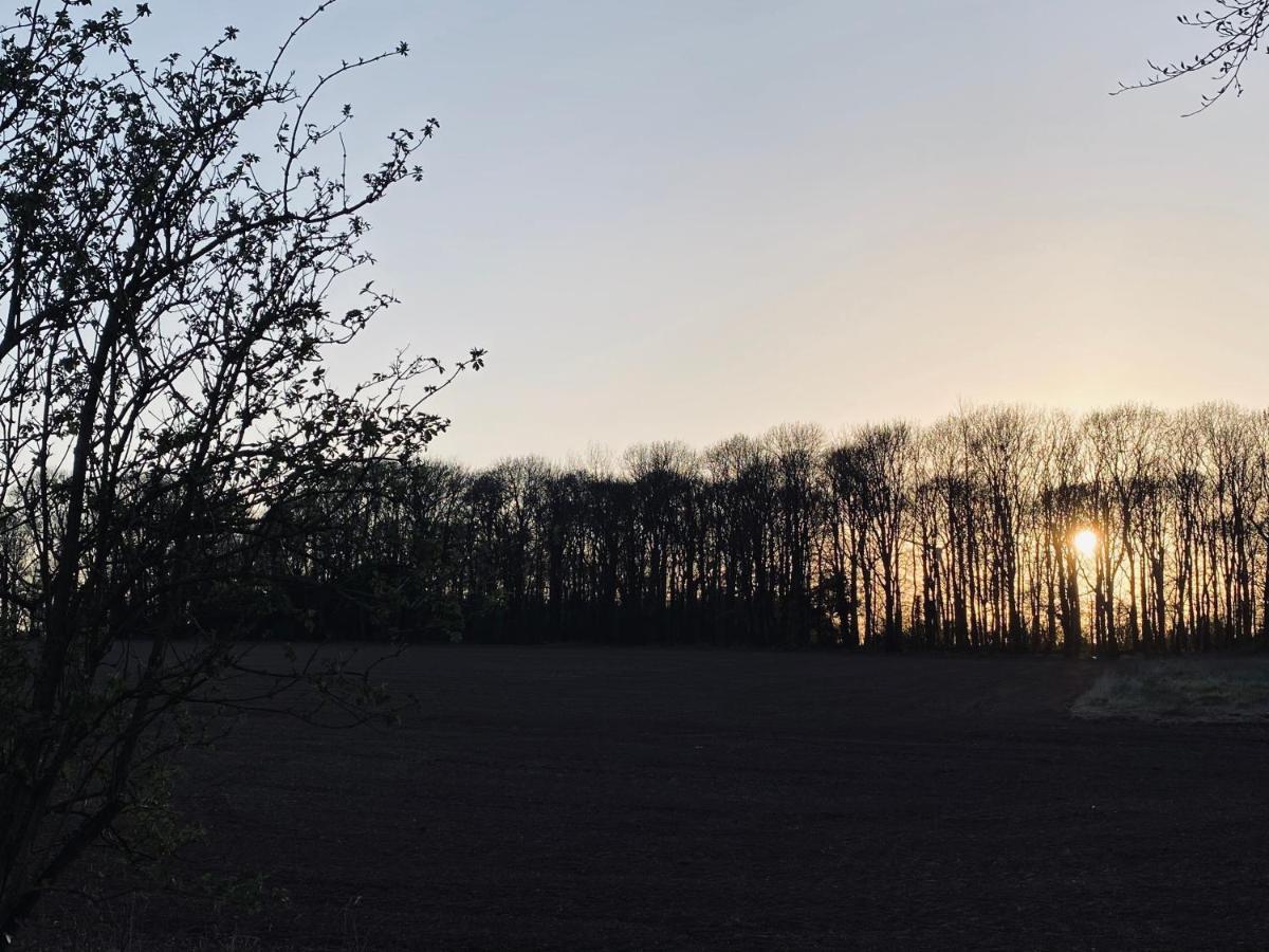 Wildes Inns Chesterfield Buitenkant foto
