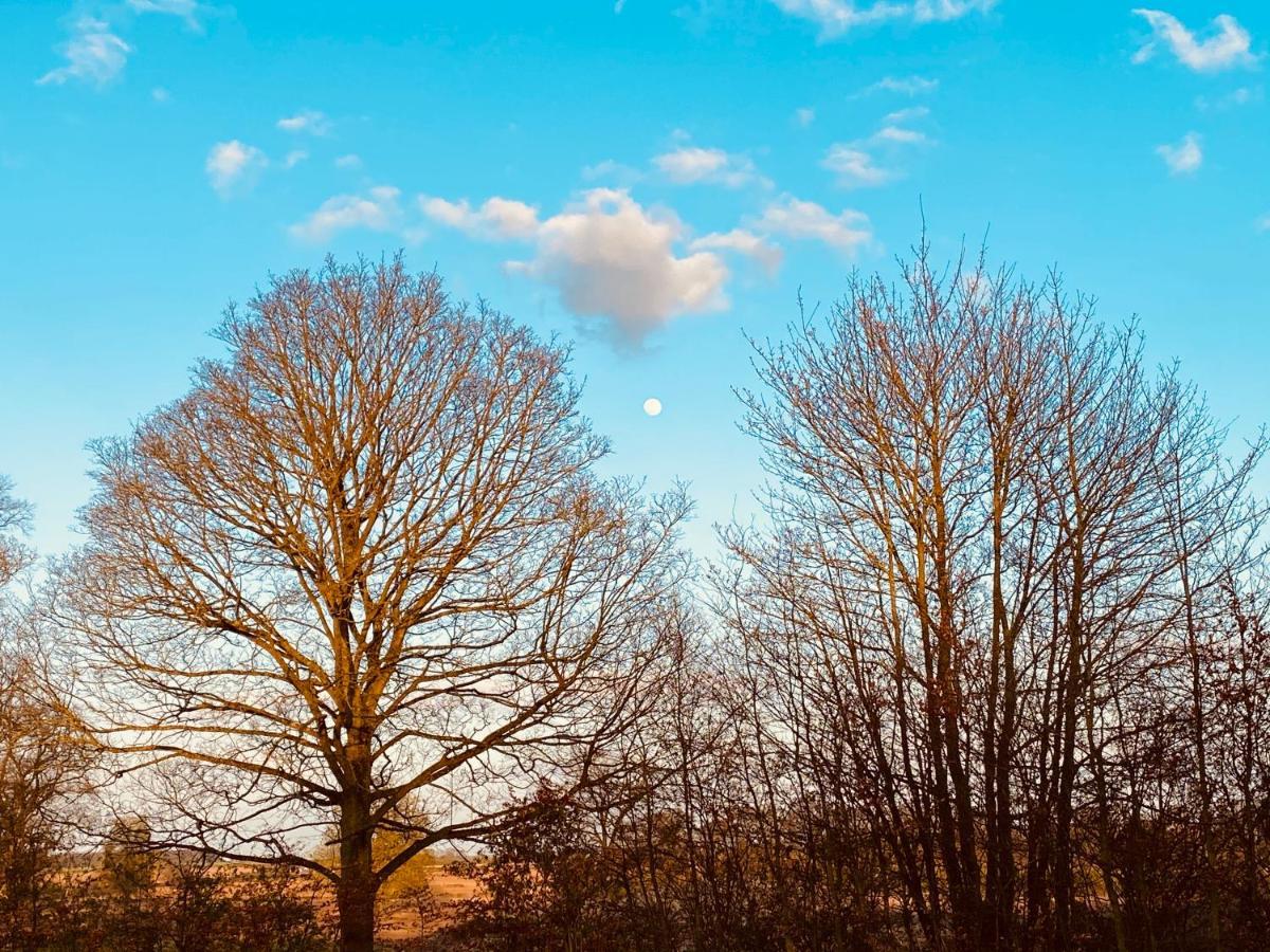 Wildes Inns Chesterfield Buitenkant foto
